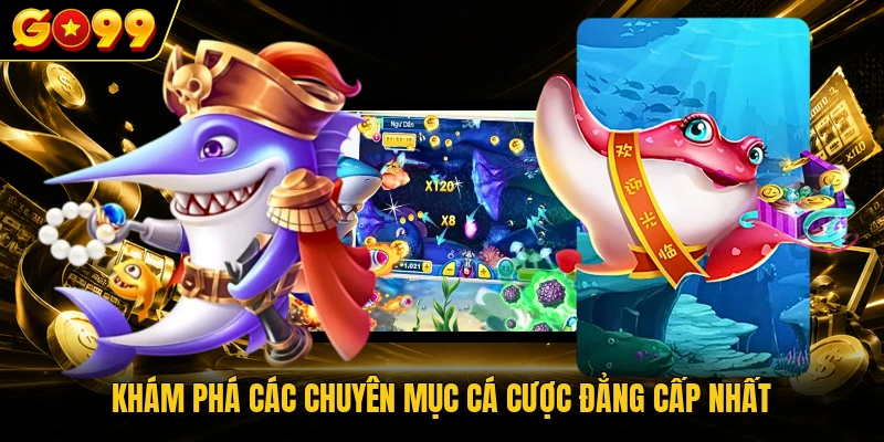 Khám phá các chuyên mục cá cược đẳng cấp nhất